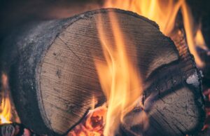 Lucy Pyre Face: A Deep Dive into Her Iconic Look Lucy Pyre Face