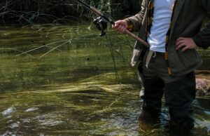 Peter Fisher BlackRock: Insights on His Financial Expertise peter fisher blackrock